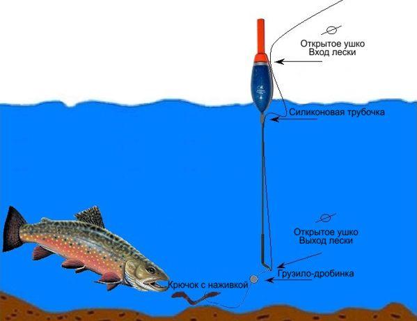 Какие снасти нужны для ловли форели