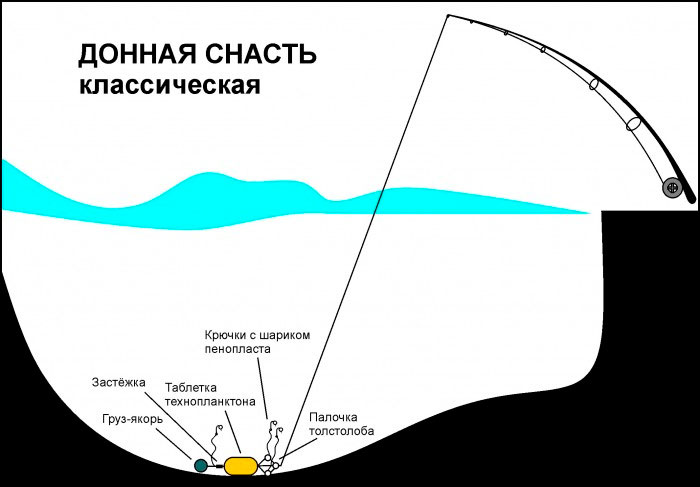 Конструкция донной снасти на толстолобика