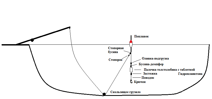 Из чего состоит снасть для ловли толстолобика