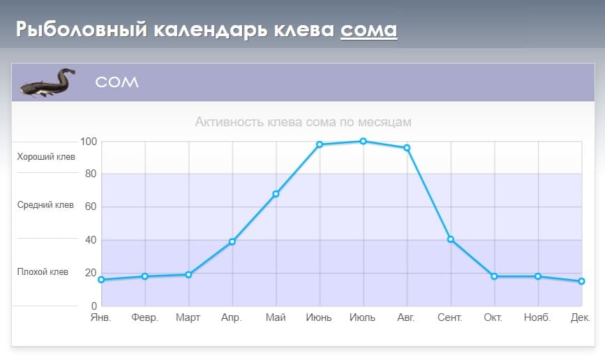 Календарь поклевки сома