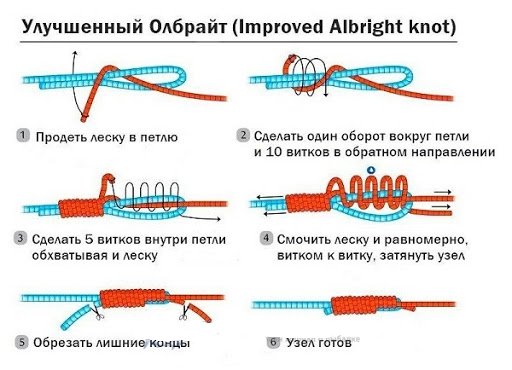 Узел Albright (Олбрайт)